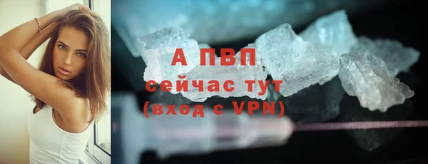 индика Данков