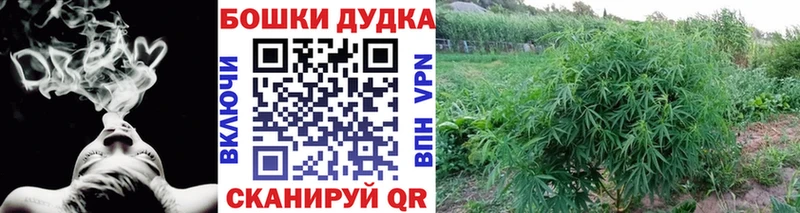 Каннабис план  mega tor  Гурьевск 